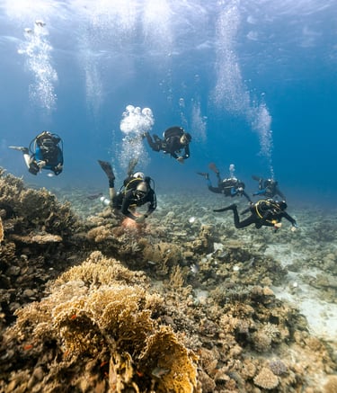 divers exploring a reef in the red sea