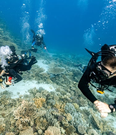 instructor guiding children in a dive