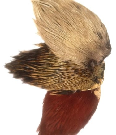 Demi cou de coq de pêche