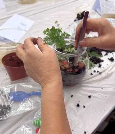 香港 Treelax 蒔樂 園藝治療工作/坊活動 活動照