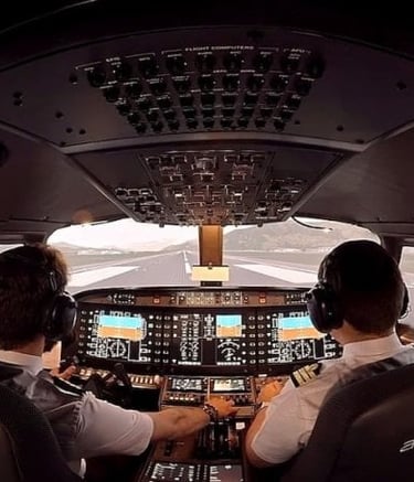 Pilot Takingoff the flight