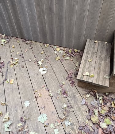 grisaillement d une terrasse bois