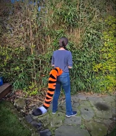 A person wearing a long, striped tiger costume tail accessory while standing in a garden.