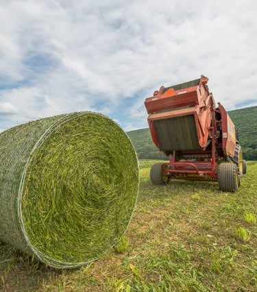 net wrap baling