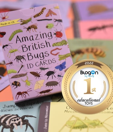 British Made Educational Card Game