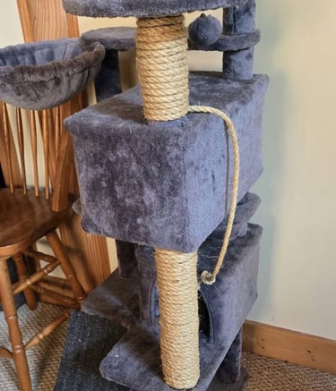 Repaired cat tree