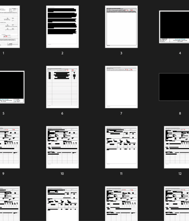 a heavily redacted permit to build a LFP plant in N. City