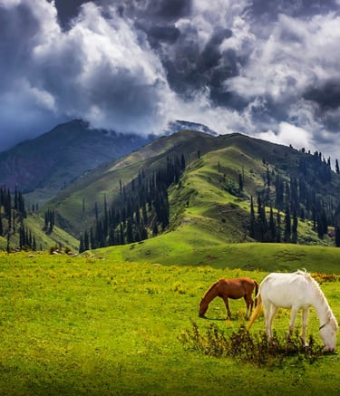 Shogran Valley