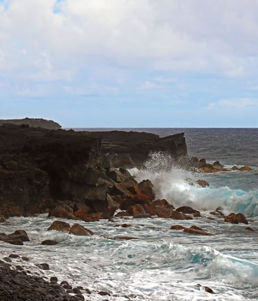 Hawaiian beach scene