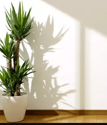 a planter with a plant in a potted planter