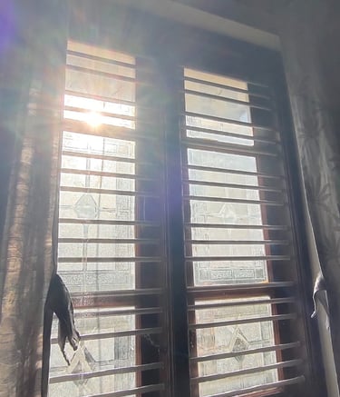 A variety of velcro mosquito nets displayed on different window types in a Bangalore apartment.