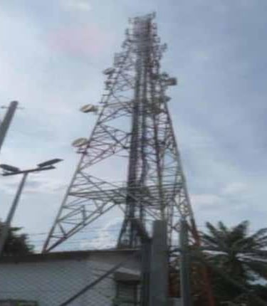 a bird flying over a tower with a bird flying by