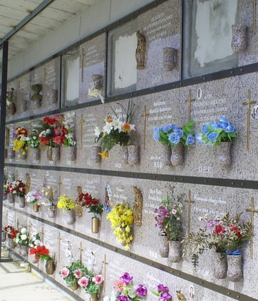 nichos en color porriño en Reinosa