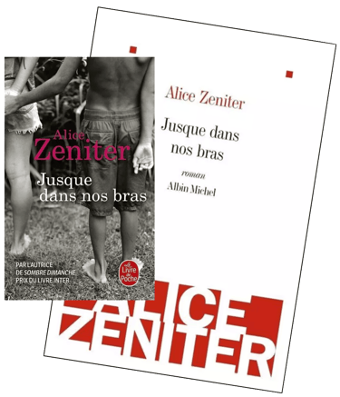 book Take This Man by Alice Zeniter