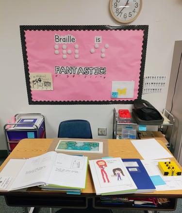 educational pull-out setting, classic VI setup, special education