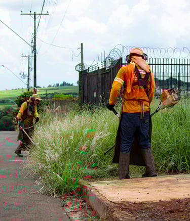 Landscaping Services