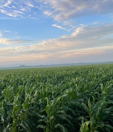 Crédito Agroindustria