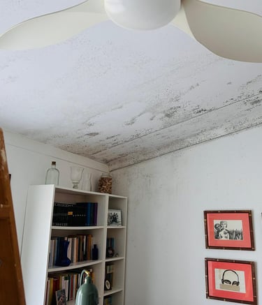 Black mold growth spreading across a white ceiling and interior wall near a bookshelf.