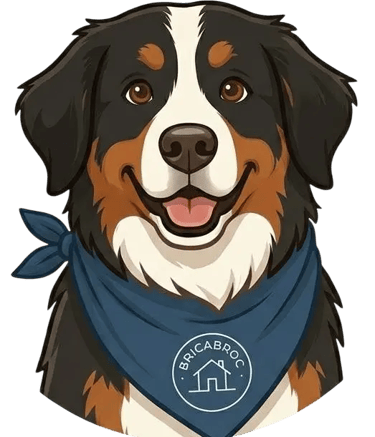 Laika notre bouvier bernois