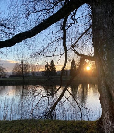 Seeufer im Abendlicht der untergehenden Sonne. Echtes Bild