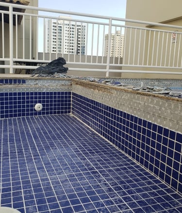 a pigeon on a tiled pool with a bird on the ground