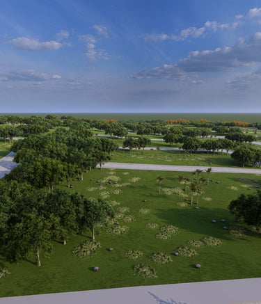 a park with a view of a park with trees