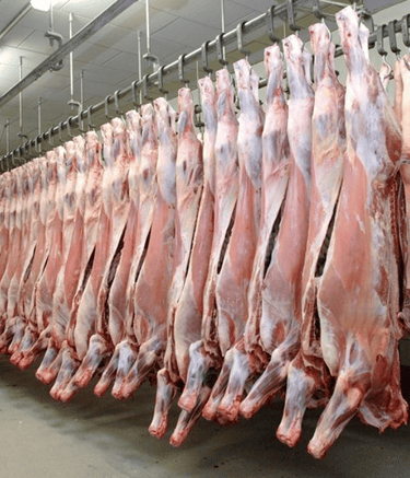 Frozen Beef