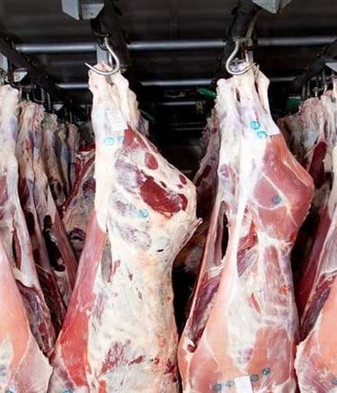 Frozen Meat