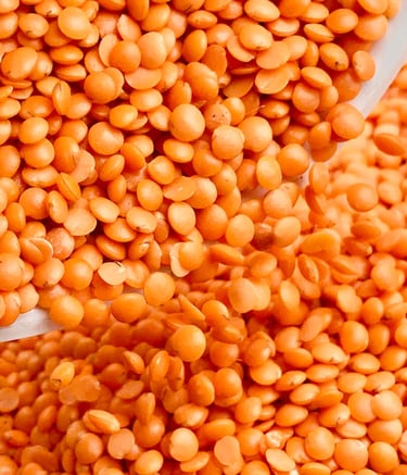 Red Lentils