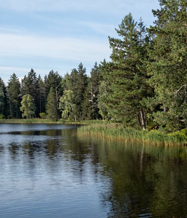 a man riding a skateboard down the side of a ramp