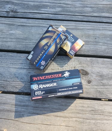 Variety of self-defense ammunition.