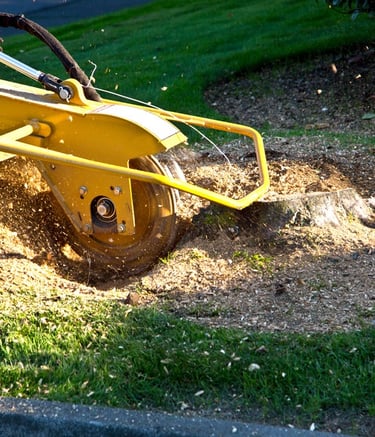stump grinding