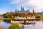 Mold Removal in Ottawa, Ontario
