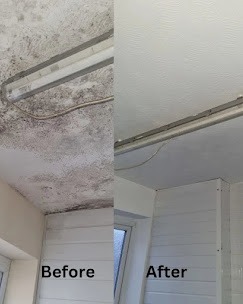 bathroom mouldy ceiling remediation