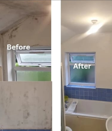 bathroom mould remediation