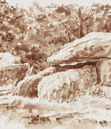 Dessin au lavis de brou de noix, paysage de Bretagne. 