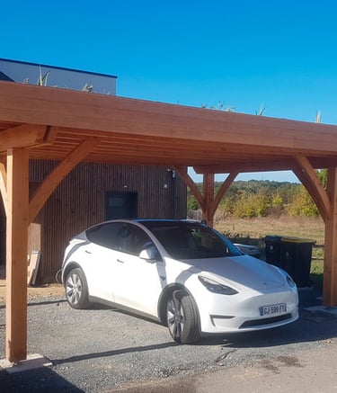 carport végétalisé en bois