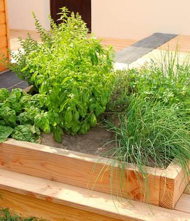 Carré potager intégré dans une terrasse