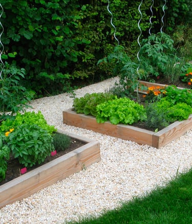 Carré potager en douglas