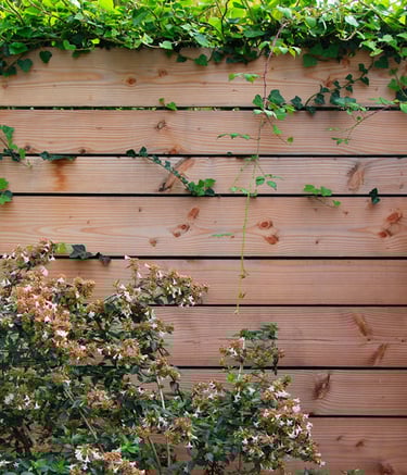 Cloture en planches horizontales en douglas