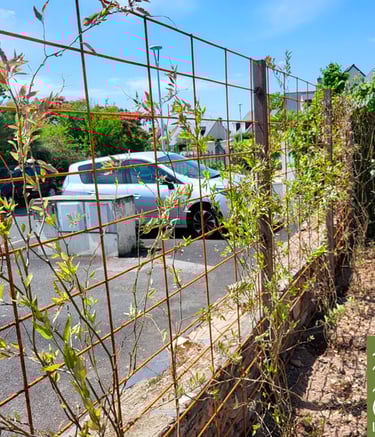 palissage en treillis soudé en fer brut