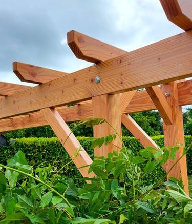 pergola en douglas