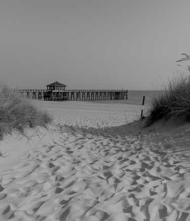 beach in winter for william mccleary portfolio