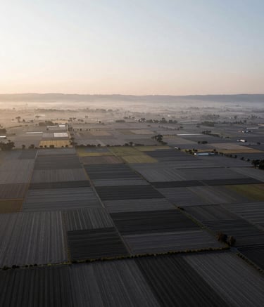 Photography of a vast Latin American agricultural valley at dawn, captured from a high angle showing geometric patterns of cultivated fields. Soft morning light, professional and serene mood. Palette includes soft light gray mist and dark gray soil.