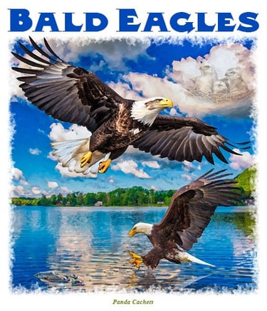 Illustration of Bald Eagles