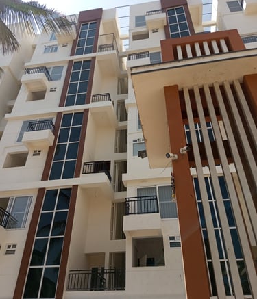 Clean and neat pigeon nets fixed on balcony in Dadar Mumbai