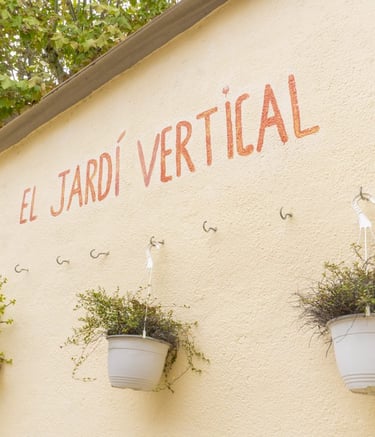 Jardí vertical de l’escola, espai verd per aprendre sobre natura i sostenibilitat.