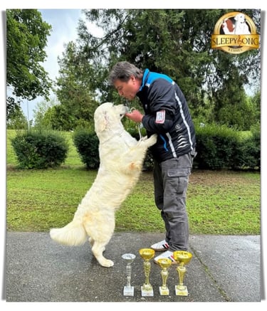 Breeder proud moments with his dog Winner.