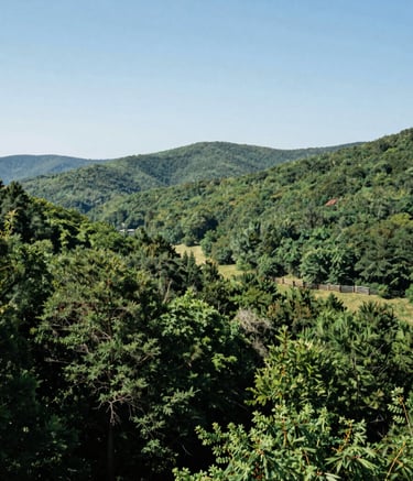 Panoramic landscape photography of a lush North American / US Appalachian valley during mid-day. The scene shows vibrant dark forest green trees, a distant traditional wooden fence, and soft rolling hills under a bright, clear sky. The composition is wide and airy, suggesting openness and community.