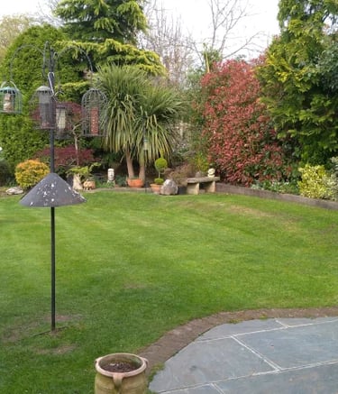 Lush green lawn in a landscaped backyard garden with a multi-feeder bird station and stone bench.